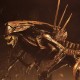 Aliens Resurrection Queen -Ultra Deluxe Boxed 15" By Neca-JuguetesMeteorito-Aliens Resurrection Queen -Ultr