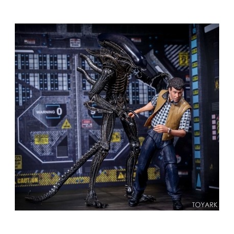 Pack de 2 figuras de Hadley's Hope Carter Burke y Xenomorph Warrior de Aliens Escala 7¨por Neca-JuguetesMeteorito-Pack de 2 figu