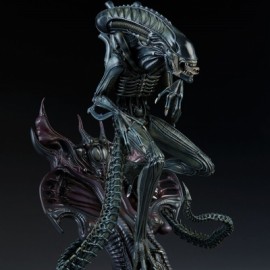 Alien Warrior Xenomorph Estatua Sideshow Collector Edition-JuguetesMeteorito-Alien Warrior Xenomorph Estatua